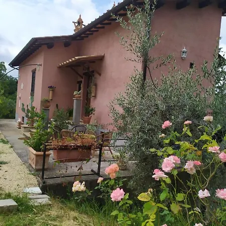 Casa Nupa *